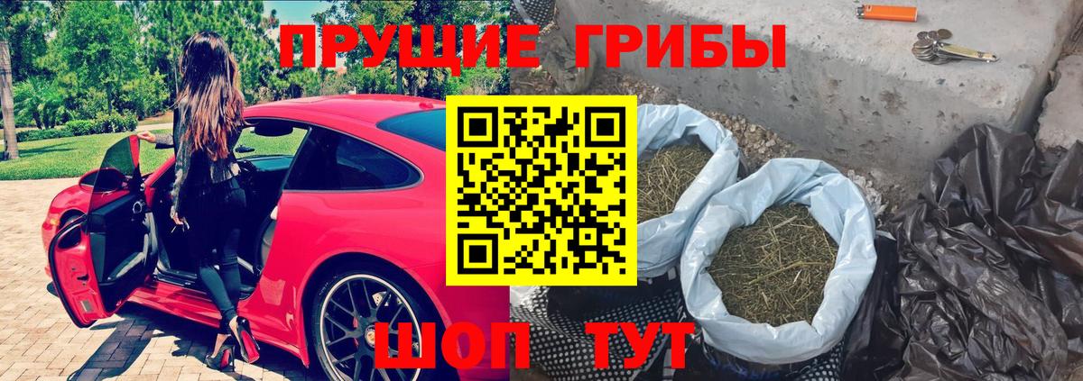 Ржев  Псилоцибиновые грибы MAGIC MUSHROOMS  Вход с VPN  Галлюциногенные грибы GOLDEN TEACHER 