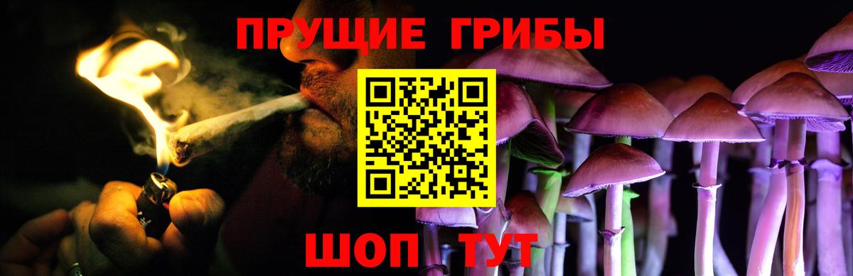 Псилоцибиновые грибы Psilocybine cubensis Ржев